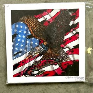USA American Eagle art piece